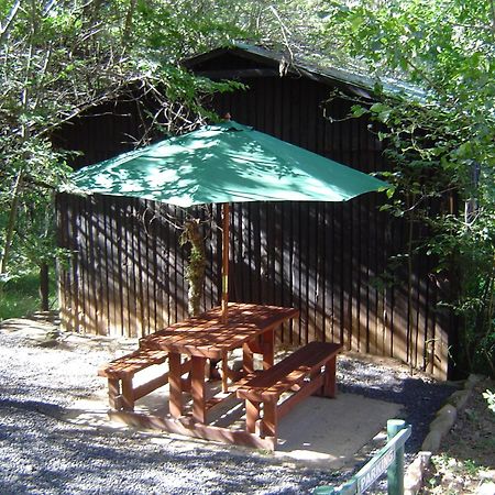 Forest Creek Lodge&Spa Dullstroom Buitenkant foto