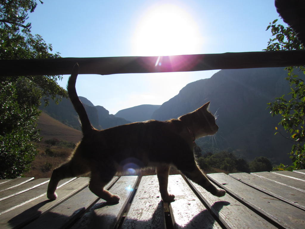 Forest Creek Lodge&Spa Dullstroom Buitenkant foto