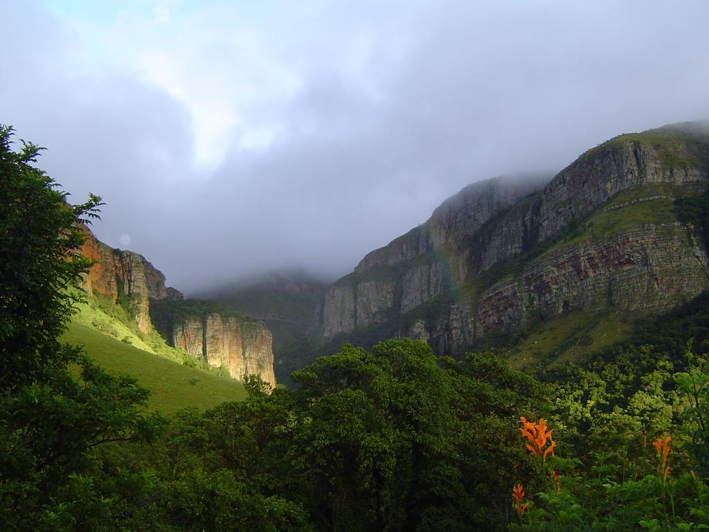 Forest Creek Lodge&Spa Dullstroom Buitenkant foto