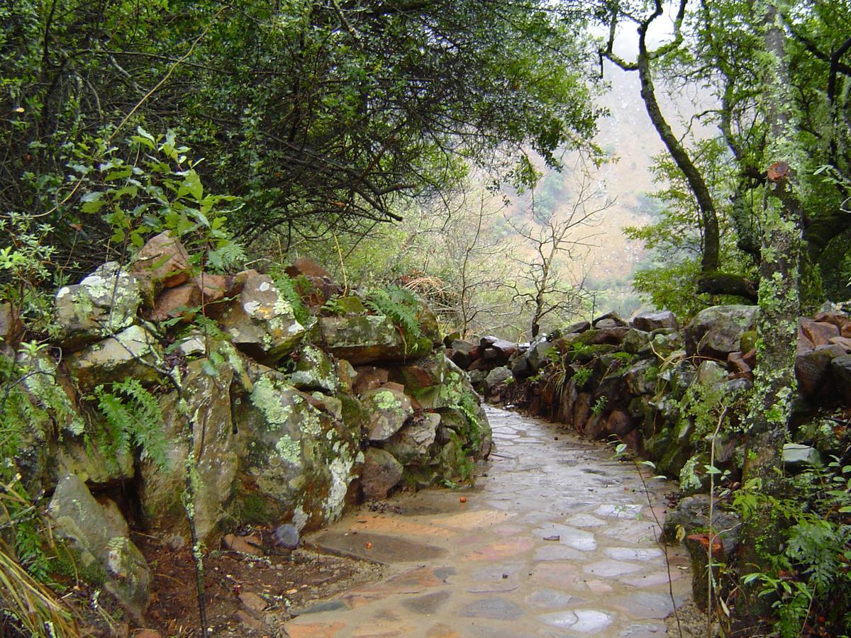 Forest Creek Lodge&Spa Dullstroom Buitenkant foto