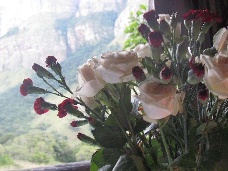Forest Creek Lodge&Spa Dullstroom Buitenkant foto