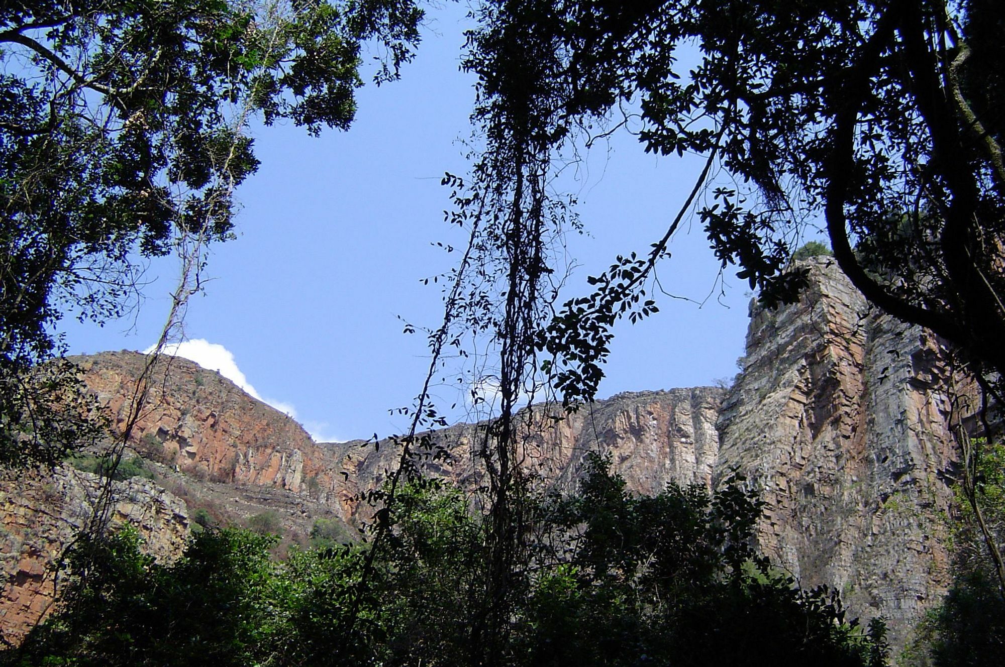 Forest Creek Lodge&Spa Dullstroom Buitenkant foto