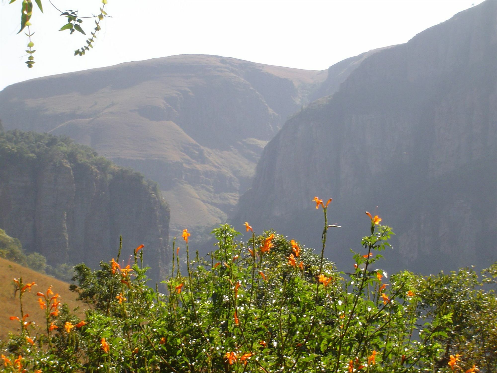 Forest Creek Lodge&Spa Dullstroom Buitenkant foto