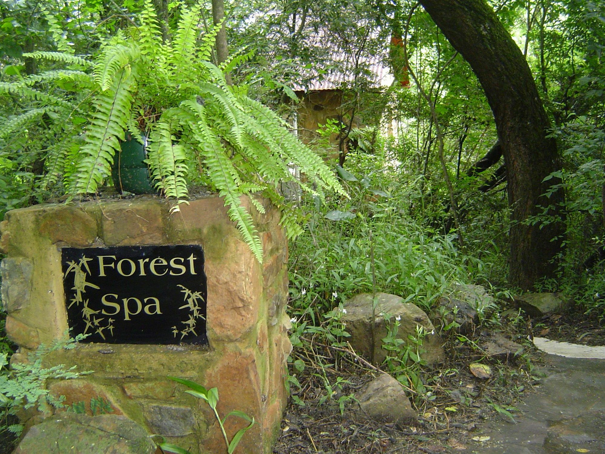 Forest Creek Lodge&Spa Dullstroom Buitenkant foto